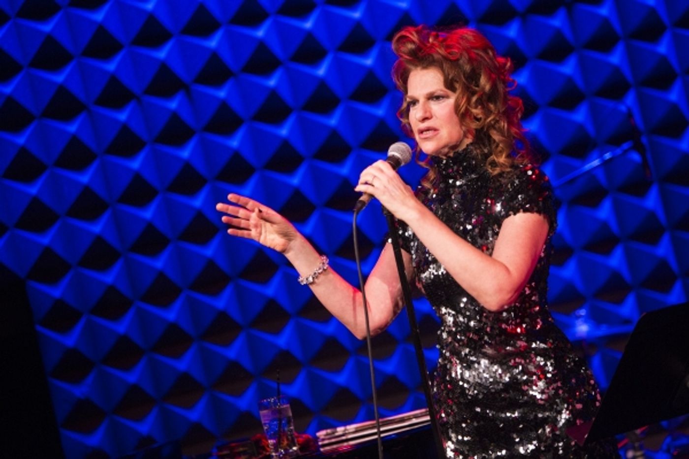 Photo Coverage: Sandra Bernhard  Returns to Joe's Pub with #BLESSED  Image