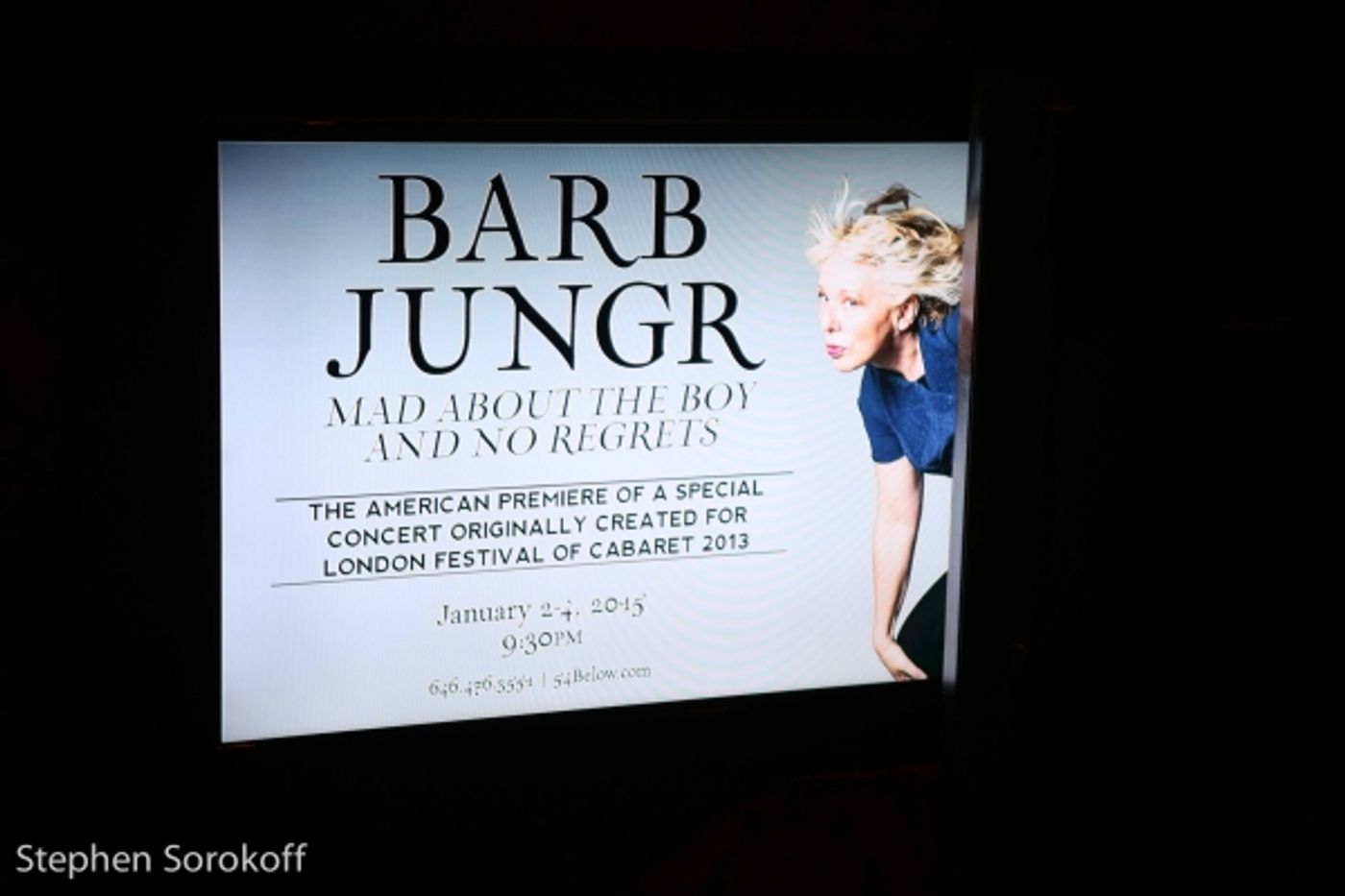 Photo Coverage: Barb Jungr Brings MAD ABOUT THE BOY AND NO REGRETS to 54 Below  Image