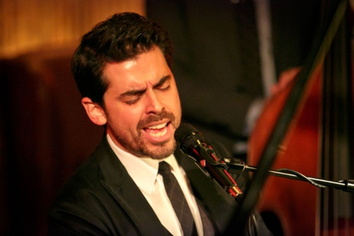 Photo Flash: Tony DeSare Performs Bemelmans Residency at The Carlyle Image