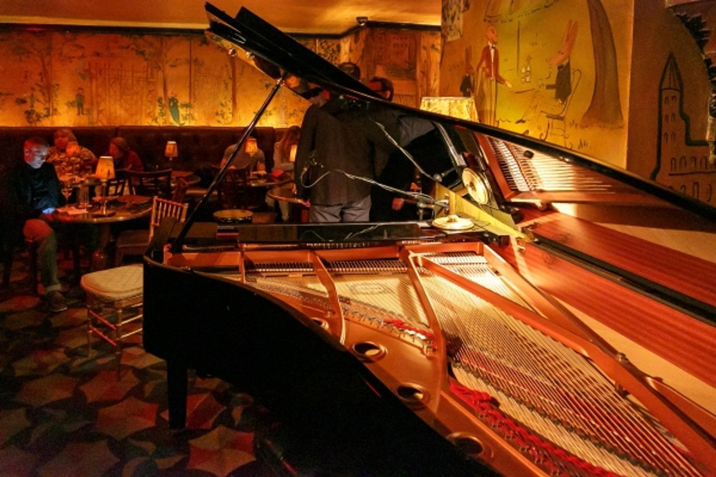 Photo Flash: Tony DeSare Performs Bemelmans Residency at The Carlyle Image