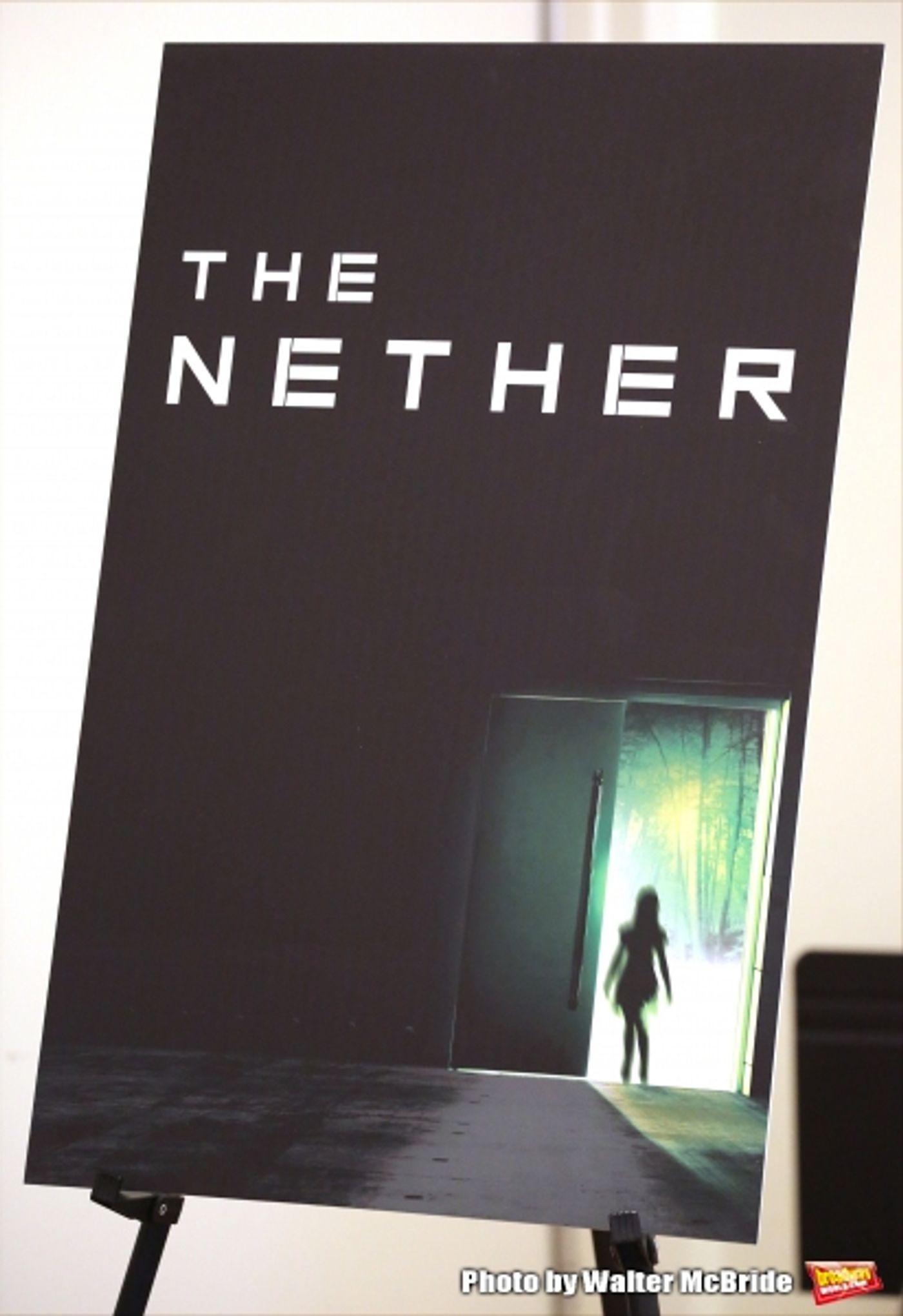 Photo Coverage: Meet the Cast of MCC's THE NETHER- Begins Previews 2/4! Image