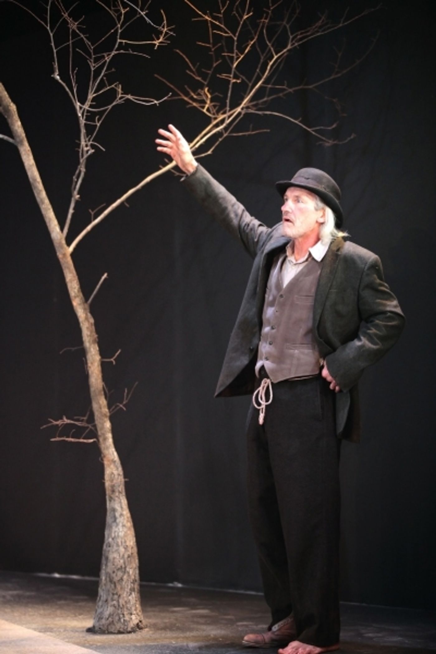 Photo Flash: First Look at Cincinnati Shakespeare's WAITING FOR GODOT  Image