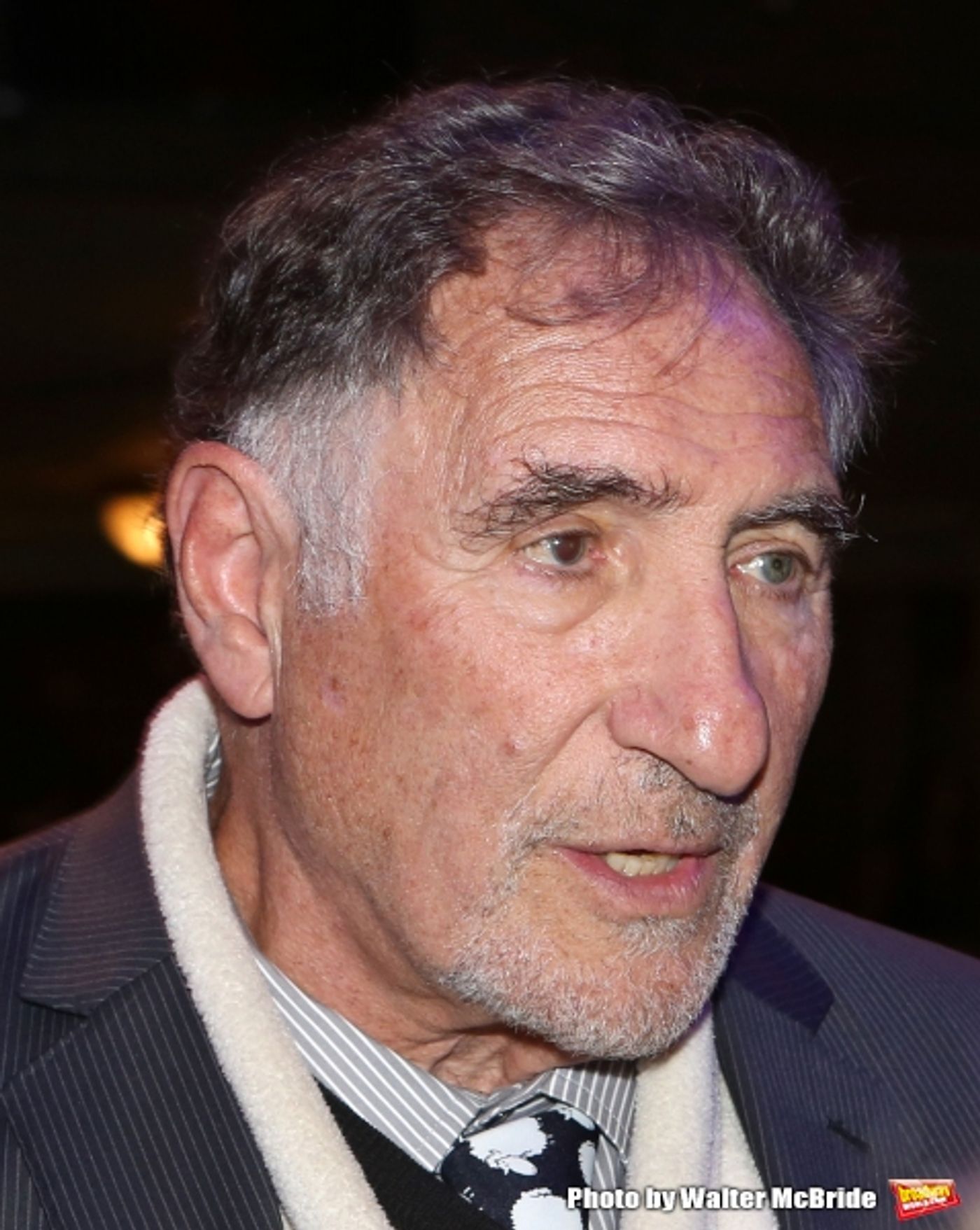 Photo Coverage: TAXI Cast Reunites at Opening Night of HONEYMOON IN VEGAS!  Image