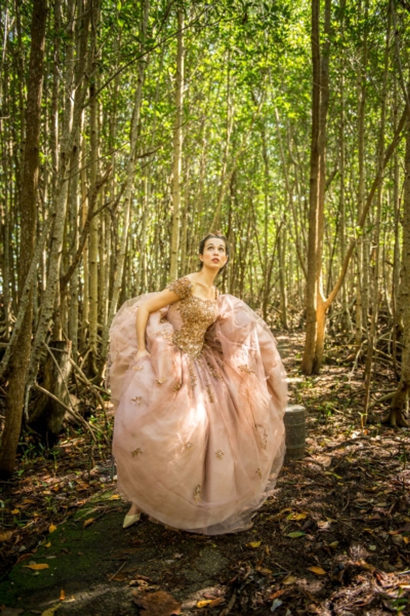 Photo Flash: Sneak Peek at Arielle Jacobs, Annemarie Rosano and More in INTO THE WOODS at Arsht Center  Image