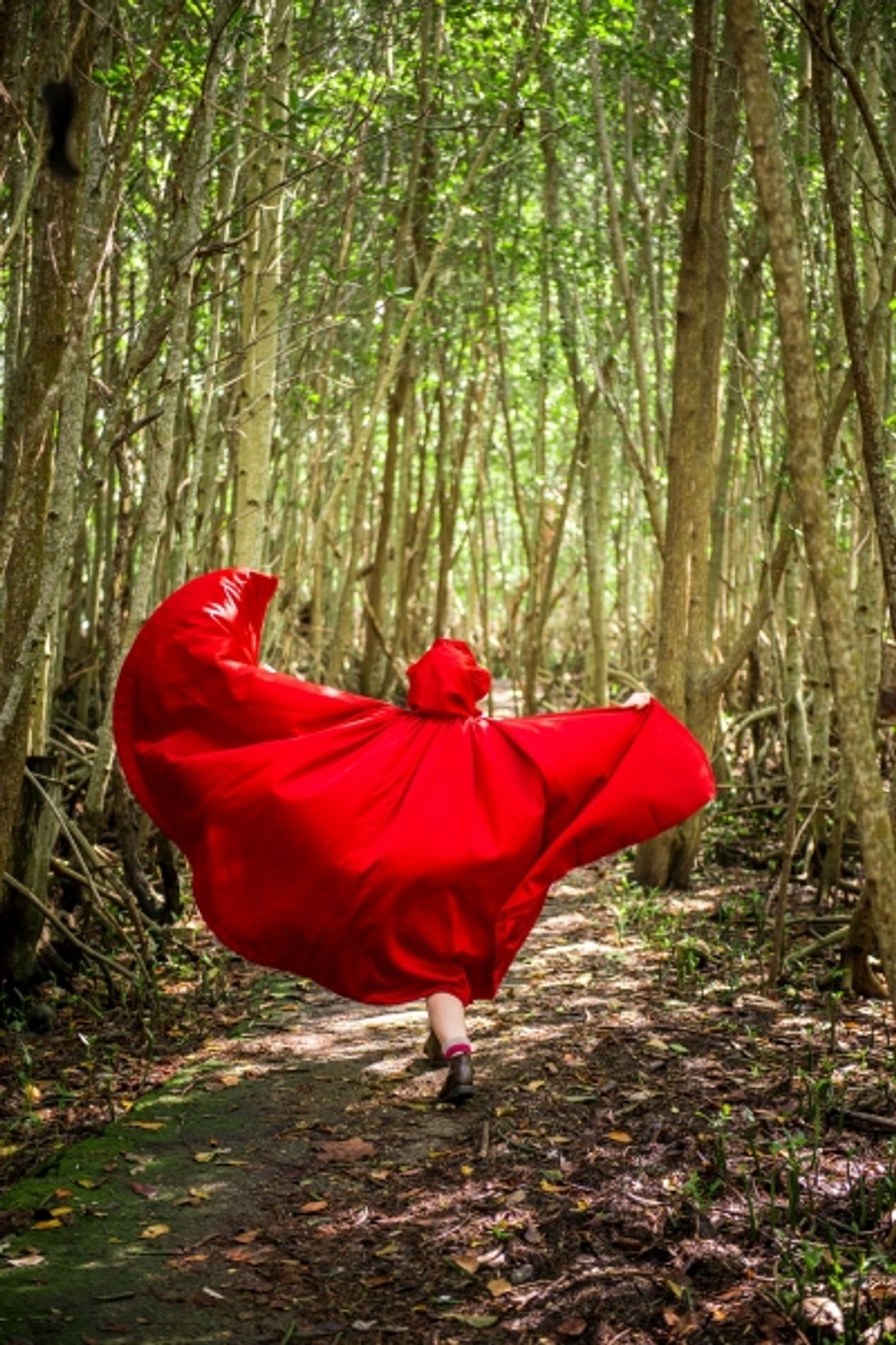 Photo Flash: Sneak Peek at Arielle Jacobs, Annemarie Rosano and More in INTO THE WOODS at Arsht Center  Image