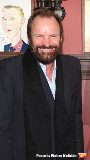 Sting  Photo