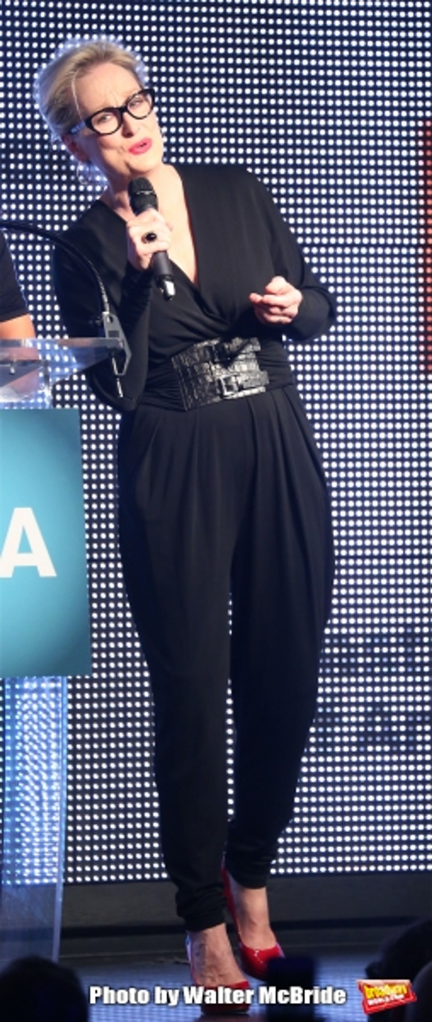 Photo Coverage: Christine Baranski, Tracey Ullman, Meryl Streep & More Honor Rob Marshall at NYC Artios Awards!  Image