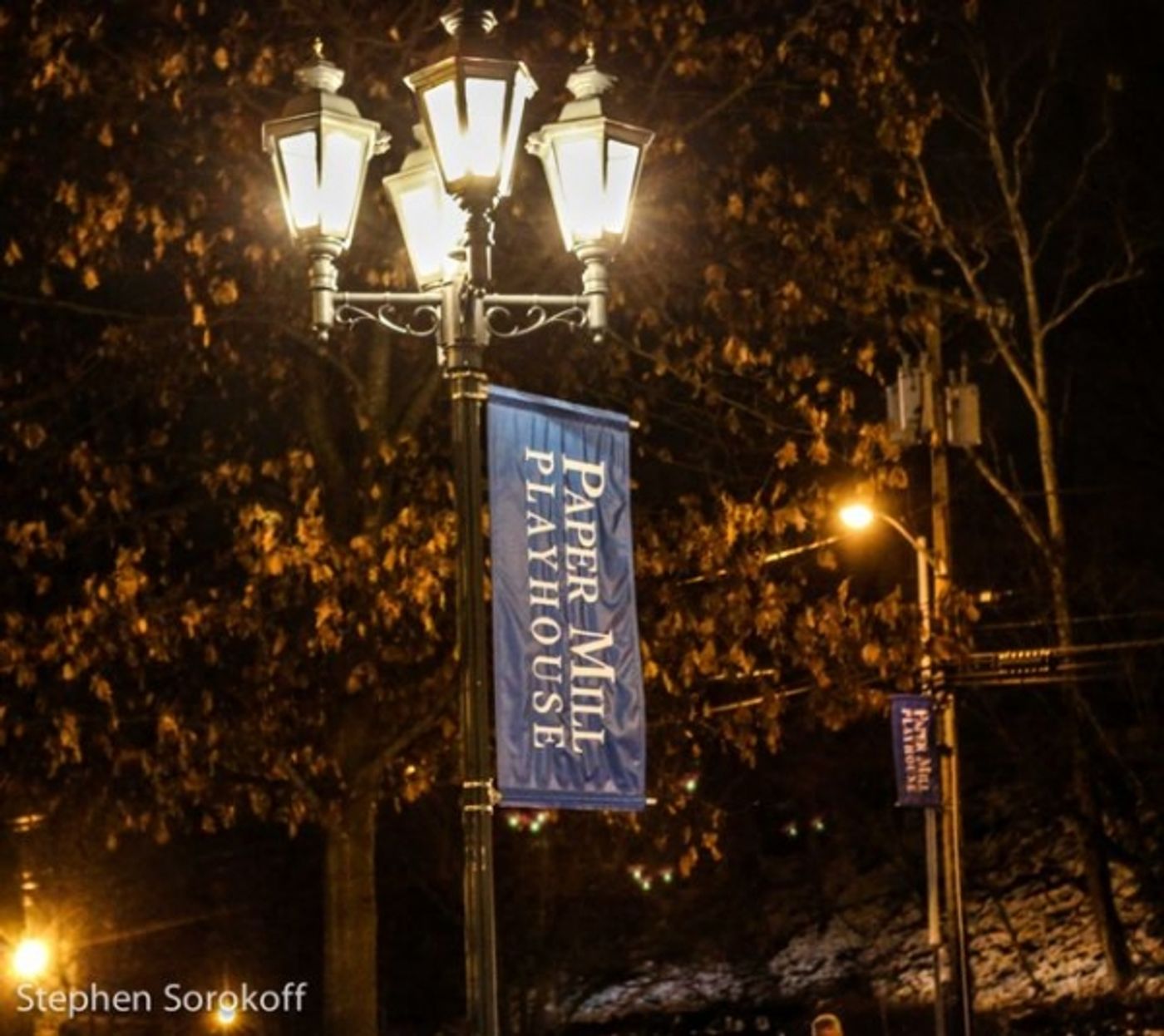 Photo Coverage: VANYA AND SONIA AND MASHA AND SPIKE Opens at Paper Mill Playhouse  Image