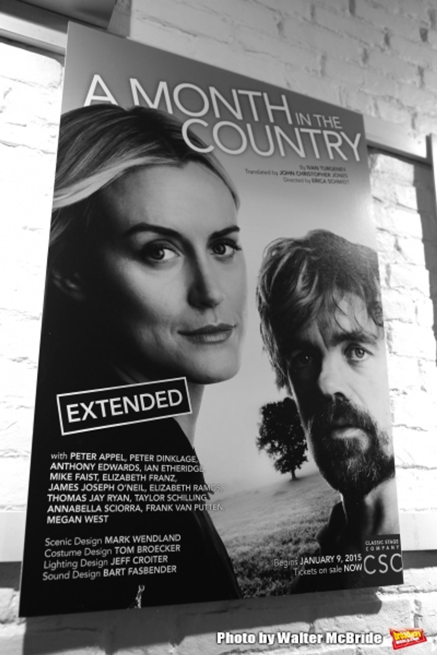 Photo Coverage: Peter Dinklage, Taylor Schilling, and A MONTH IN THE COUNTRY Cast Take Opening Night Bows  Image