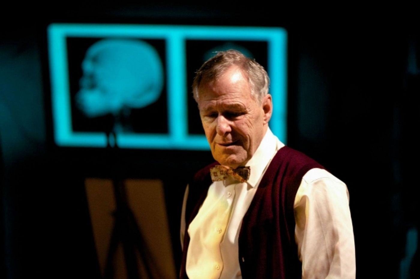 Photo Flash: First Look at Ian Gelder and Will Austin in GODS AND MONSTERS at Southwark Playhouse  Image