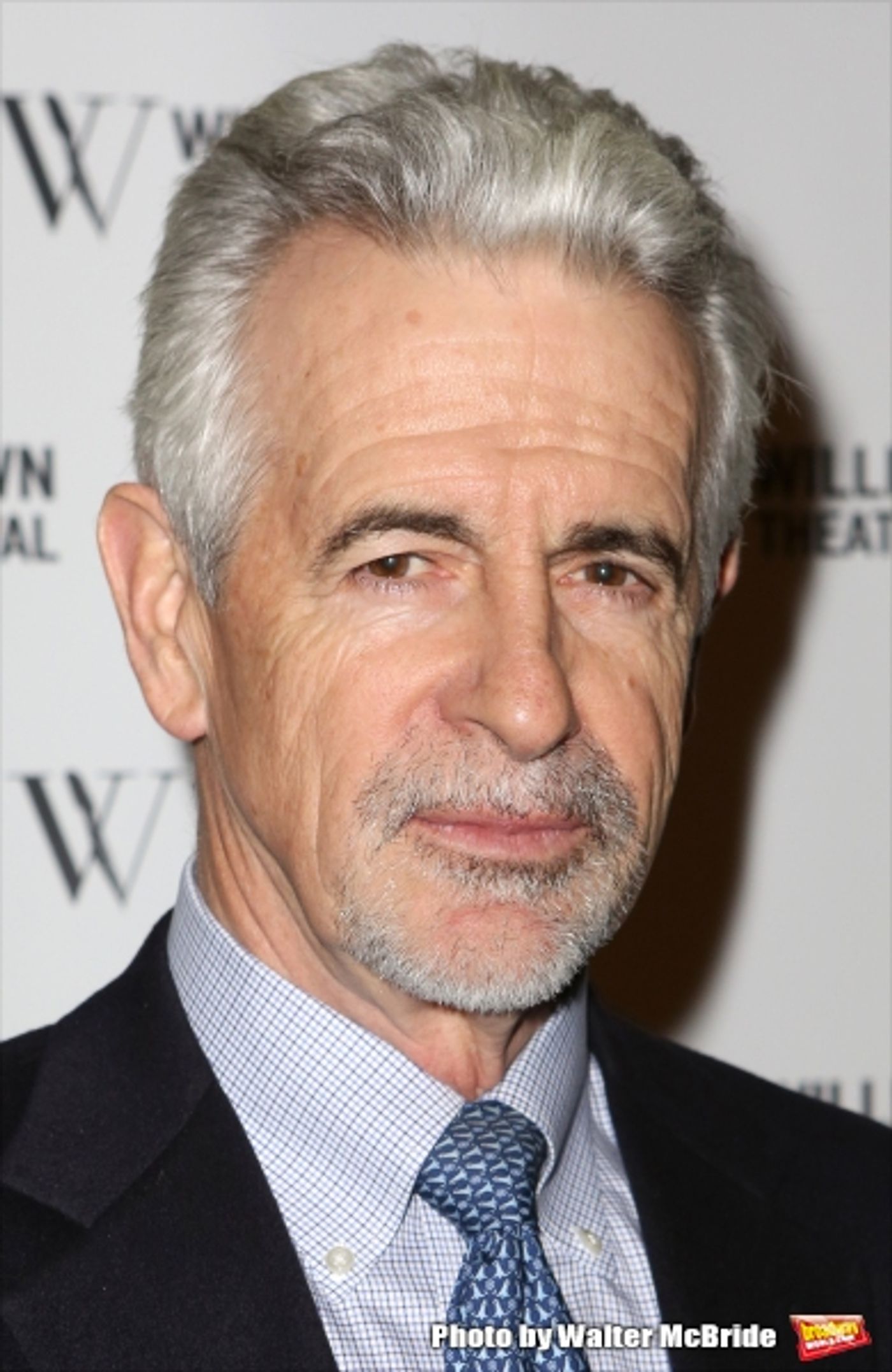 Photo Coverage: Martin Short, Katie Finneran & More Celebrate Williamstown Theatre Festival at 2015 Gala  Image