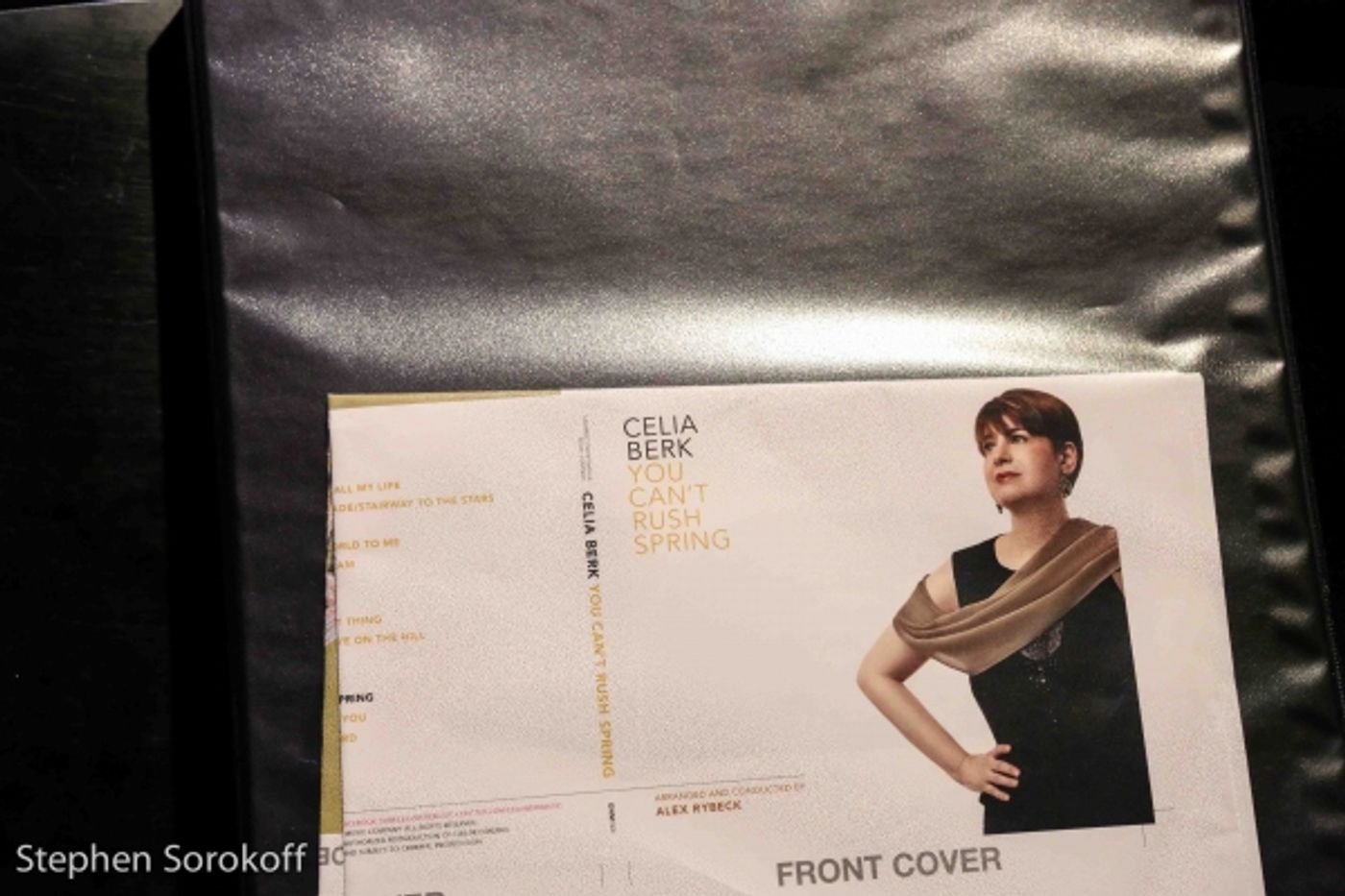 Photo Coverage: Celia Berk Returns to the Metropolitan Room  Image