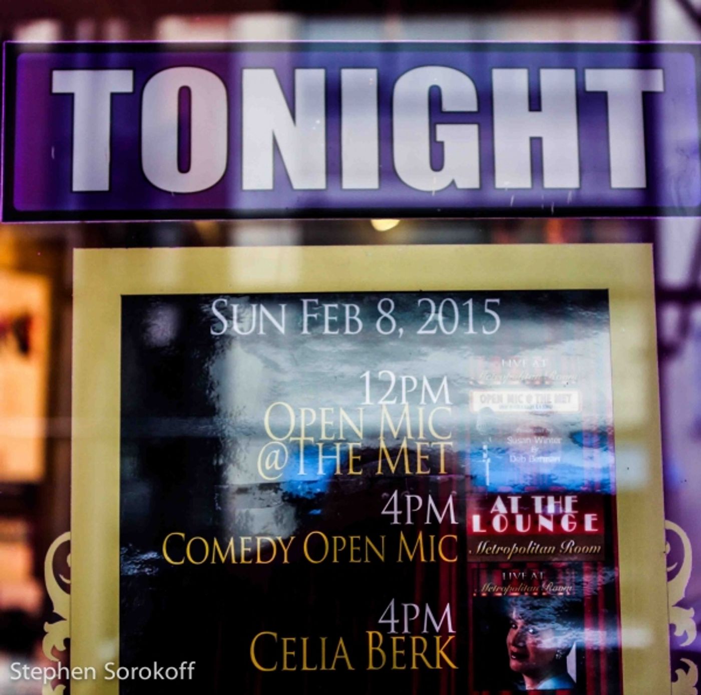 Photo Coverage: Celia Berk Returns to the Metropolitan Room  Image