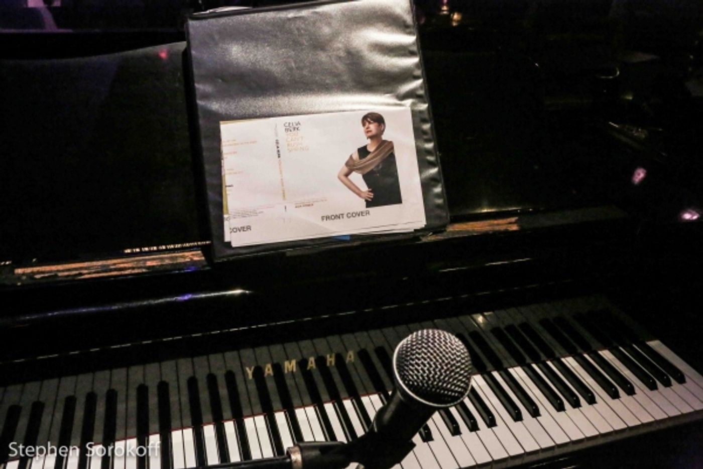 Photo Coverage: Celia Berk Returns to the Metropolitan Room  Image