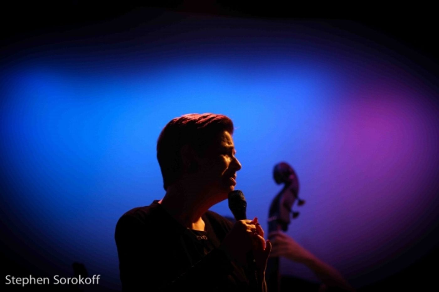 Photo Coverage: Celia Berk Returns to the Metropolitan Room  Image