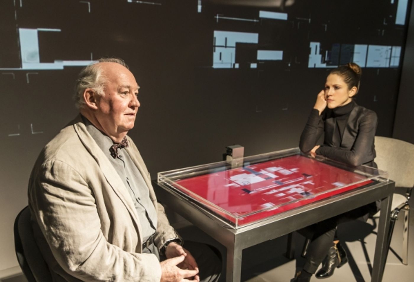 Photo Flash: First Look at David Calder, Amanda Hale & More in West End's THE NETHER  Image