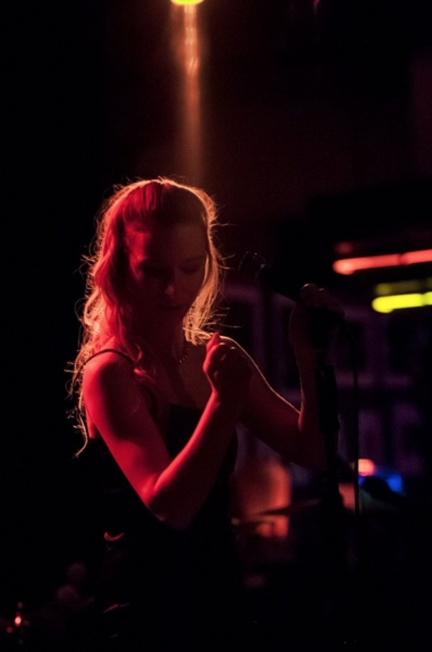 Photo Flash: JIM CARUSO'S CAST PARTY at Birdland with Tovah Feldshuh, Christine Lavin & More  Image