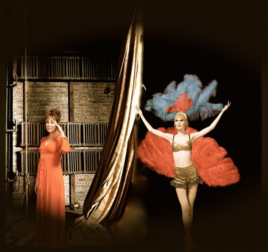 Photo Flash: First Look at Theater Works' FOLLIES Image