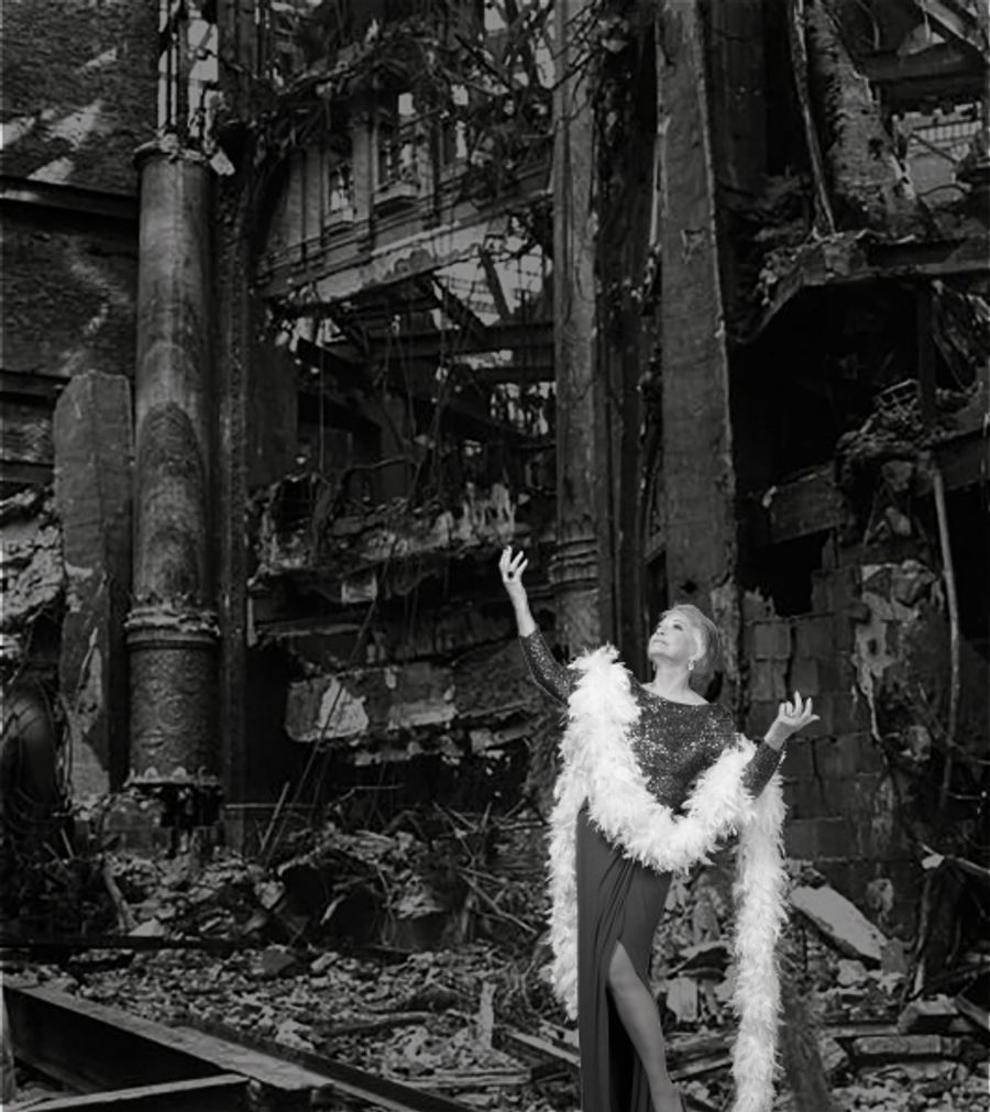 Photo Flash: First Look at Theater Works' FOLLIES Image