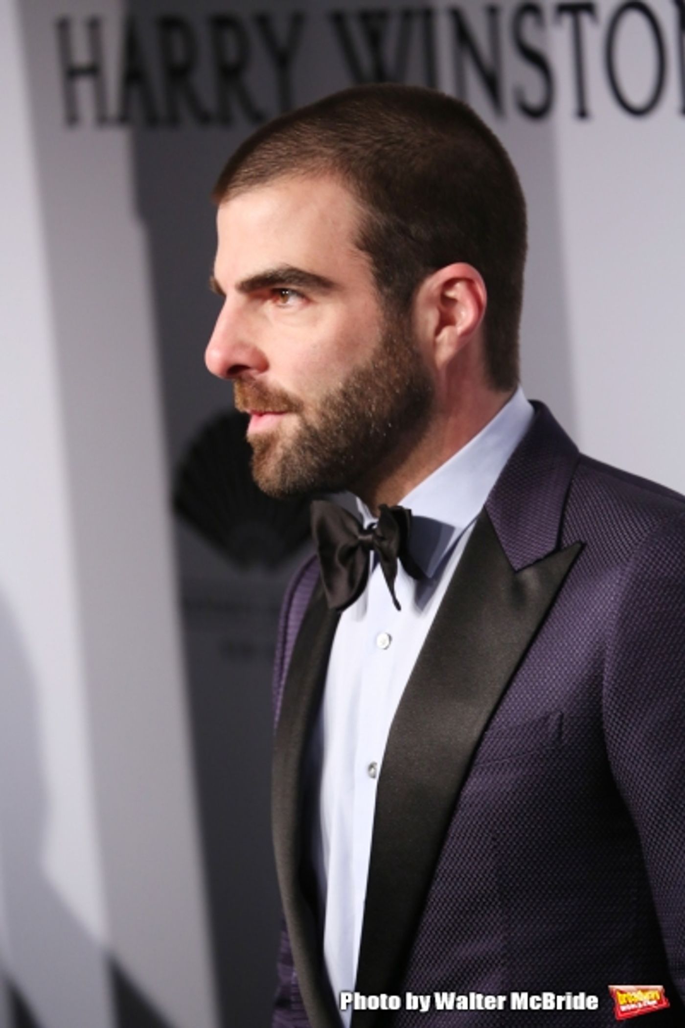 Photo Coverage: On the amfAR 2015 New York Gala Black Carpet - Part 1  Image