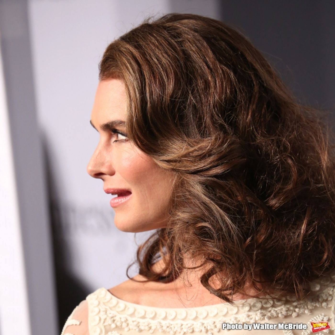 Photo Coverage: On the amfAR 2015 New York Gala Black Carpet with Paris Hilton, Kendall Jenner, and More!  Image