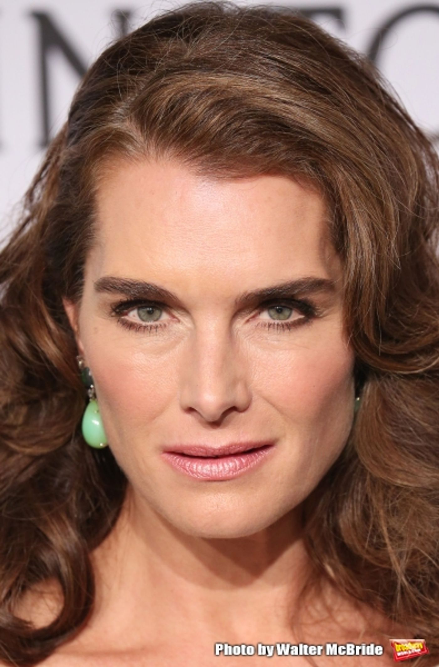 Photo Coverage: On the amfAR 2015 New York Gala Black Carpet with Paris Hilton, Kendall Jenner, and More!  Image