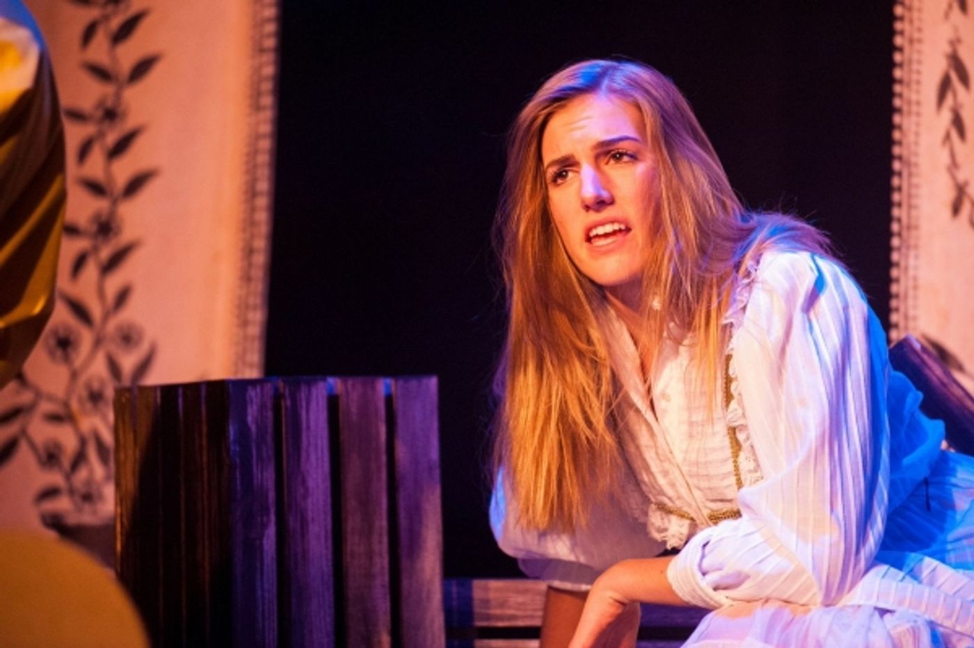 Photo Flash: First Look at Theatre Project and TP&co's TWELFTH NIGHT  Image