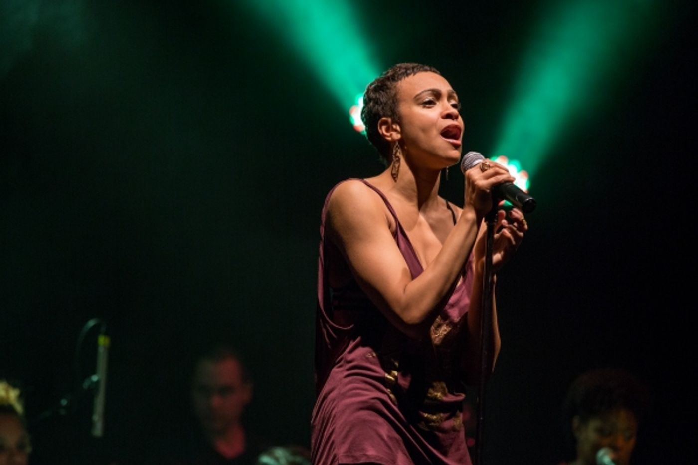 Photo Flash: Lena Hall, Eric Michael Krop, Christine Dwyer, Carly Hughes and More in BROADWAY SINGS P!NK  Image