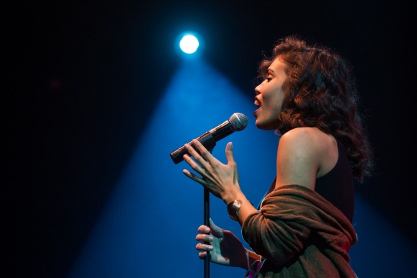 Photo Flash: Lena Hall, Eric Michael Krop, Christine Dwyer, Carly Hughes and More in BROADWAY SINGS P!NK  Image