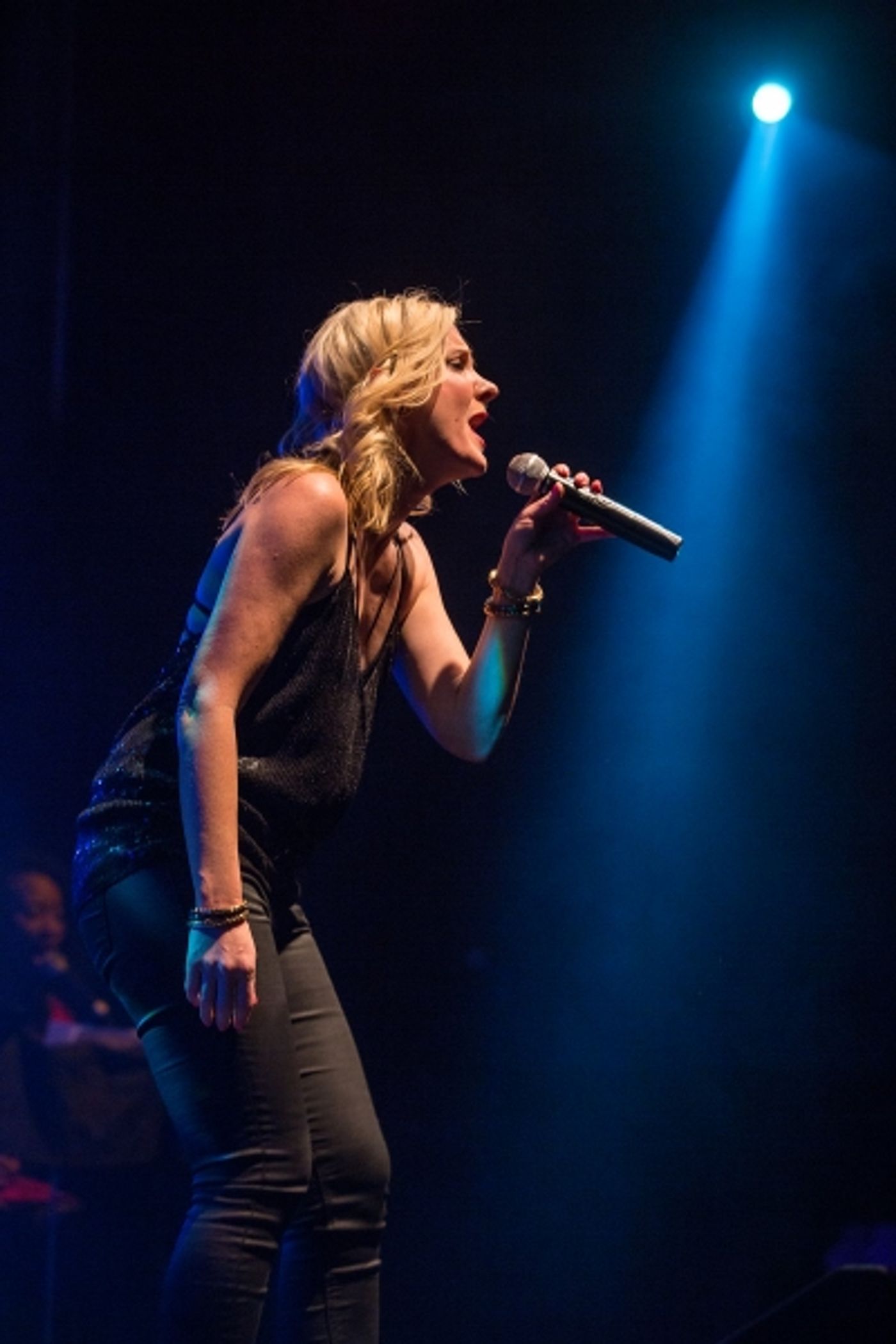 Photo Flash: Lena Hall, Eric Michael Krop, Christine Dwyer, Carly Hughes and More in BROADWAY SINGS P!NK  Image