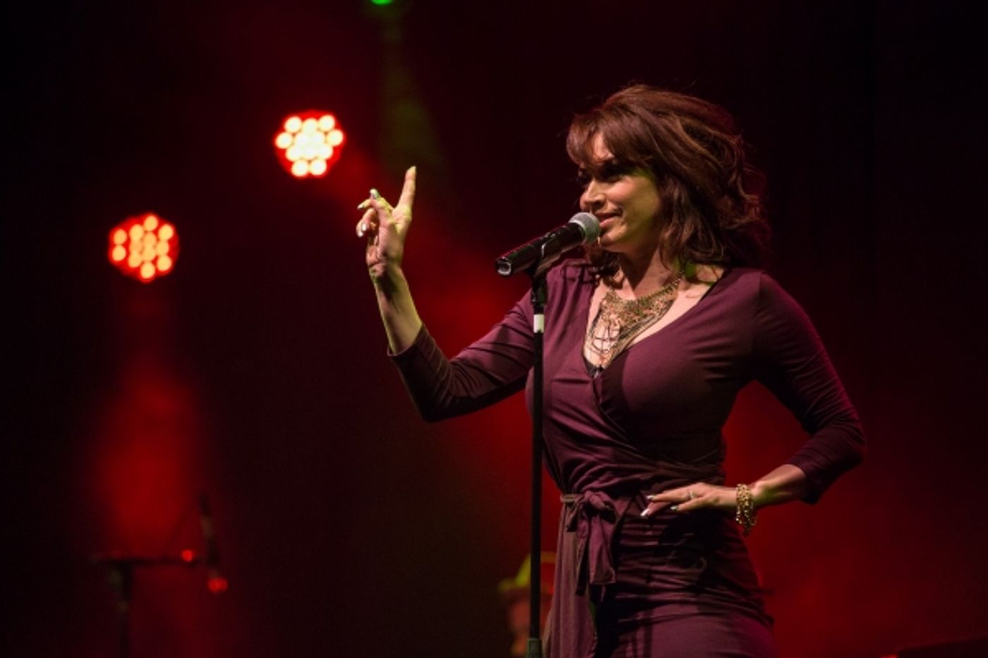 Photo Flash: Lena Hall, Eric Michael Krop, Christine Dwyer, Carly Hughes and More in BROADWAY SINGS P!NK  Image