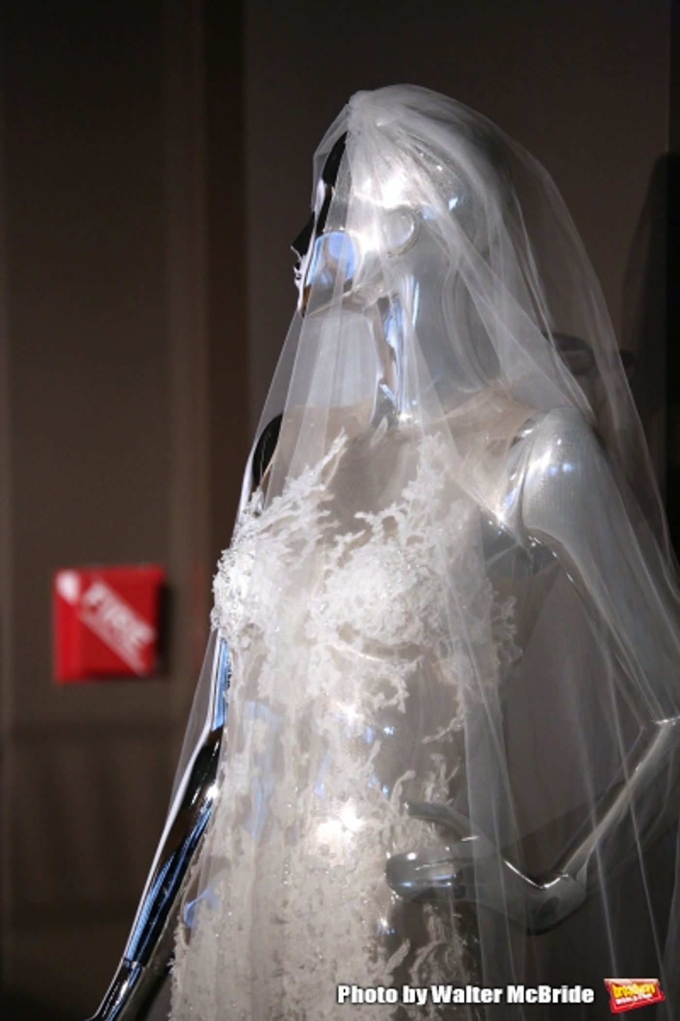 Photo Coverage: Meet the Company of Broadway-Bound IT SHOULDA BEEN YOU! Photo Coverage: Meet the Company of Broadway-Bound IT SHOULDA BEEN YOU! Image