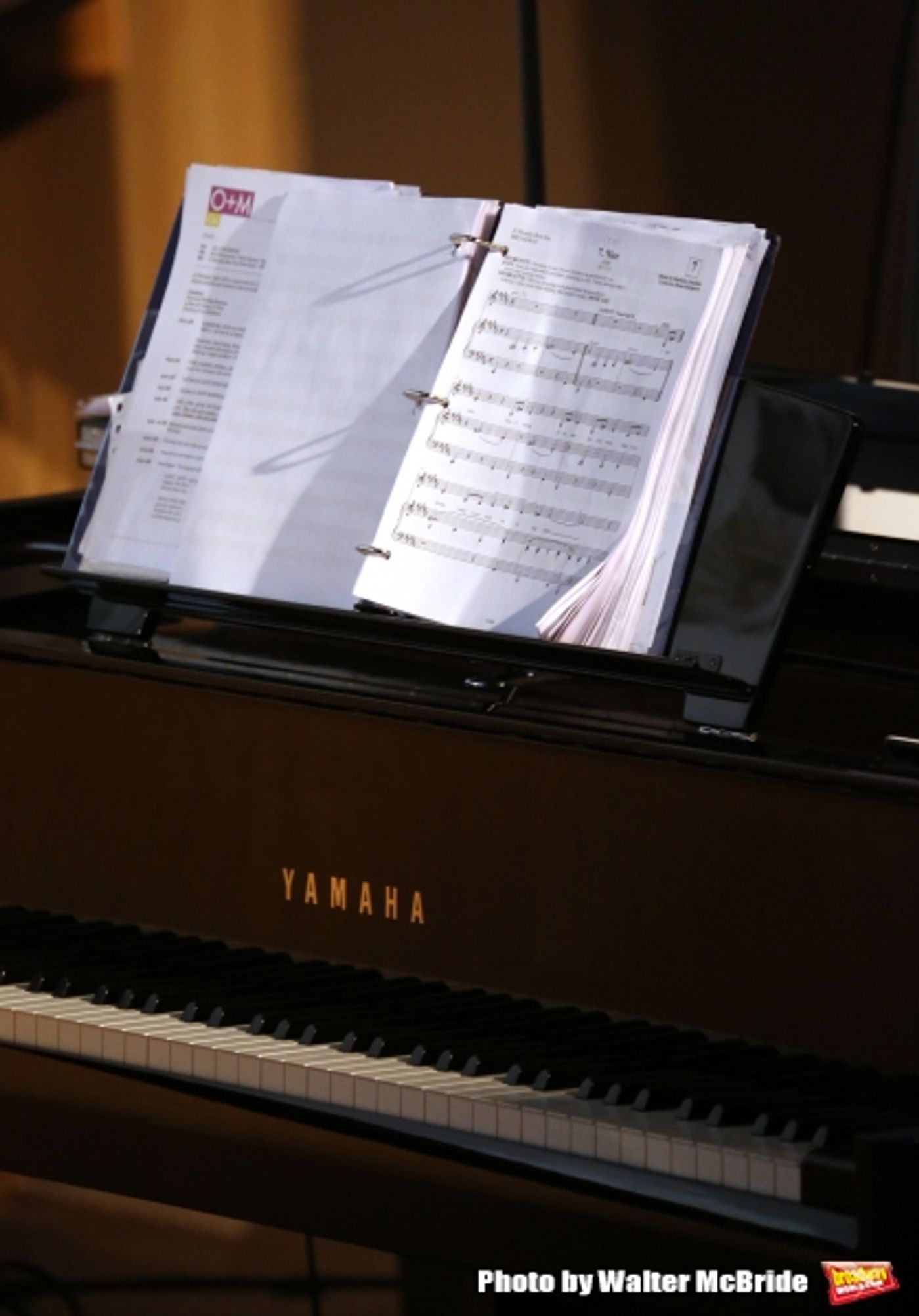 Photo Coverage: Meet the Company of Broadway-Bound IT SHOULDA BEEN YOU! Photo Coverage: Meet the Company of Broadway-Bound IT SHOULDA BEEN YOU! Image