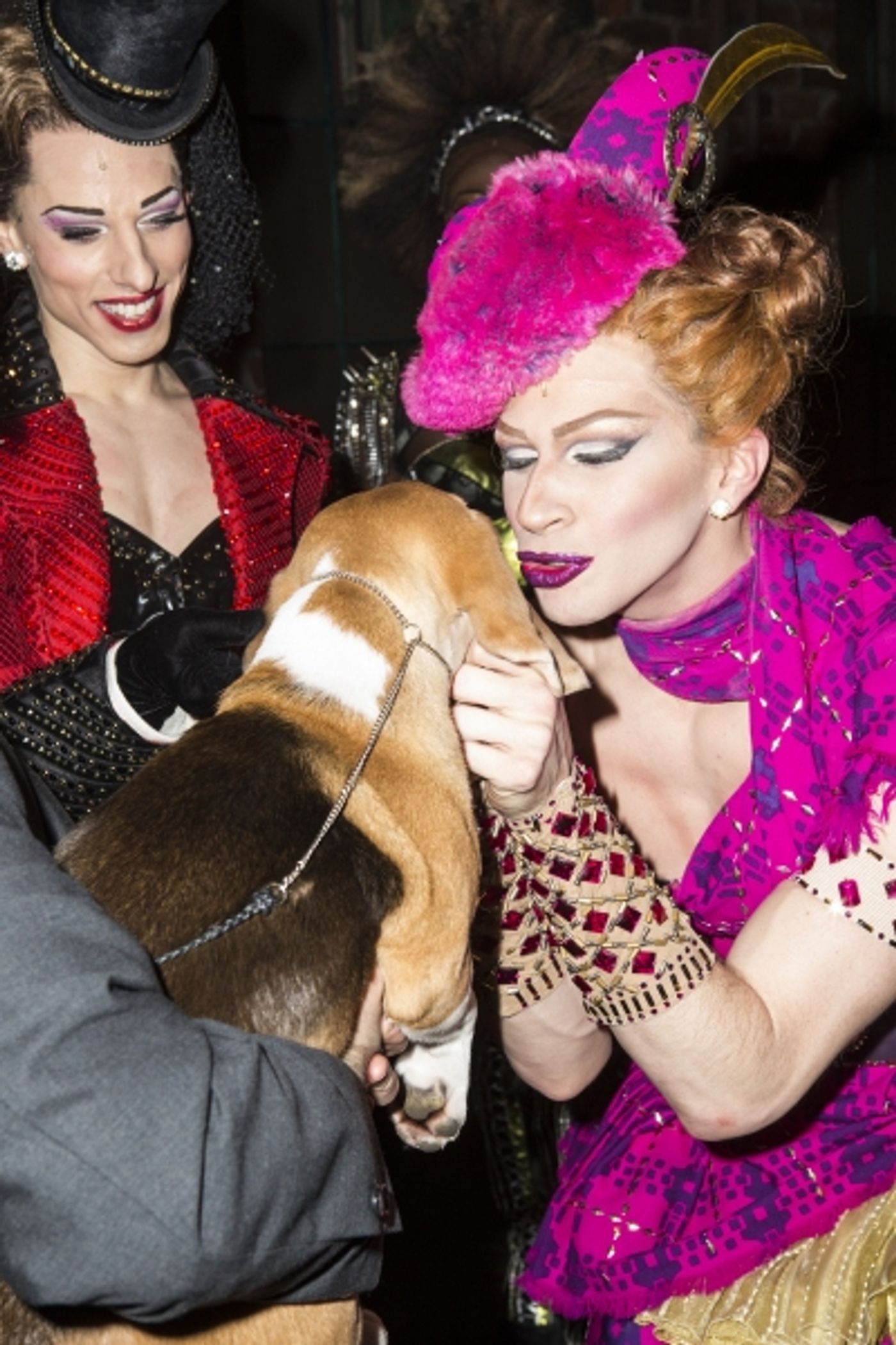 Photo Coverage: Westminster Best in Show Winner Miss P. Makes Broadway Debut in KINKY BOOTS!  Image