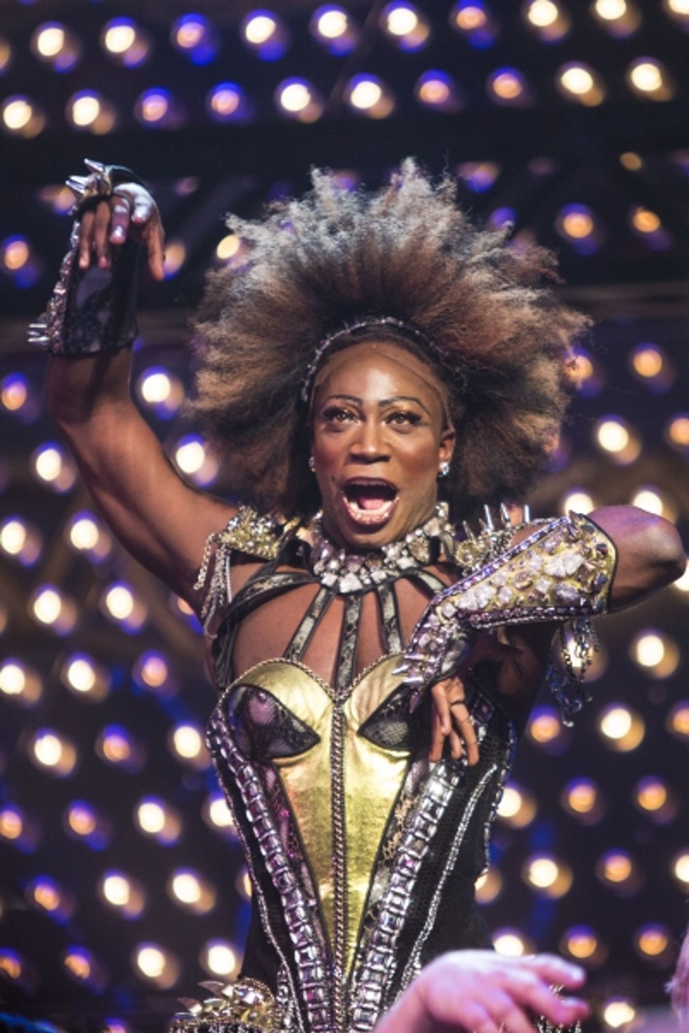 Photo Coverage: Westminster Best in Show Winner Miss P. Makes Broadway Debut in KINKY BOOTS!  Image
