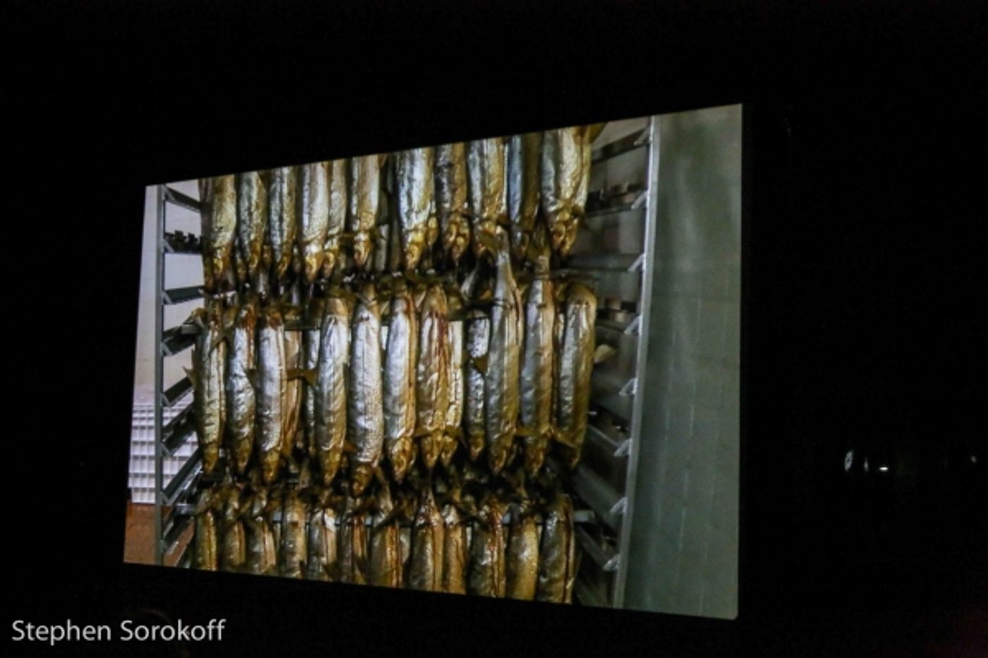 Photo Coverage: New Film DELI MAN Screens at Friars Club  Image