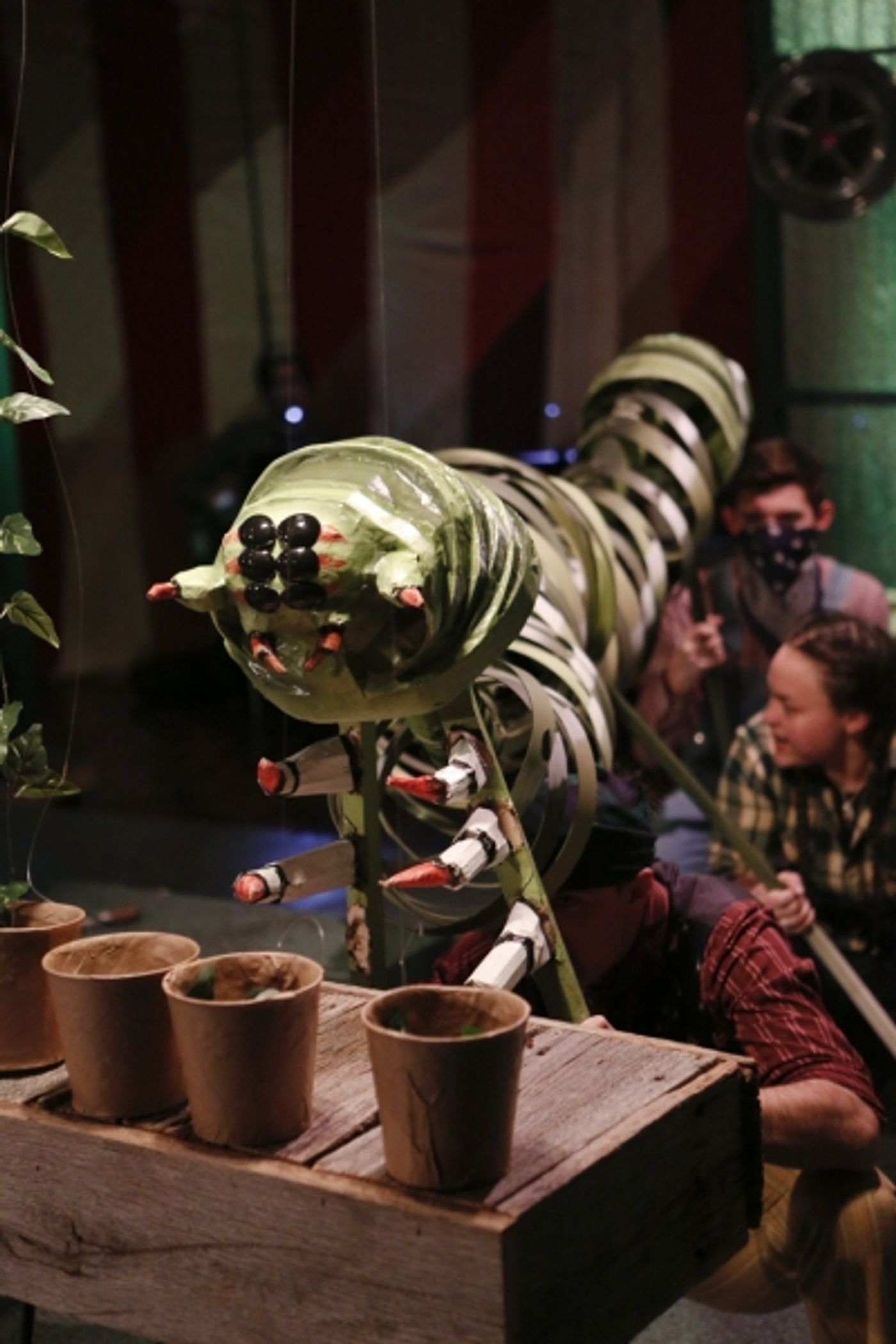 Photo Flash: First Look at Quest Theatre Ensemble's TOMATO QUEEN  Image