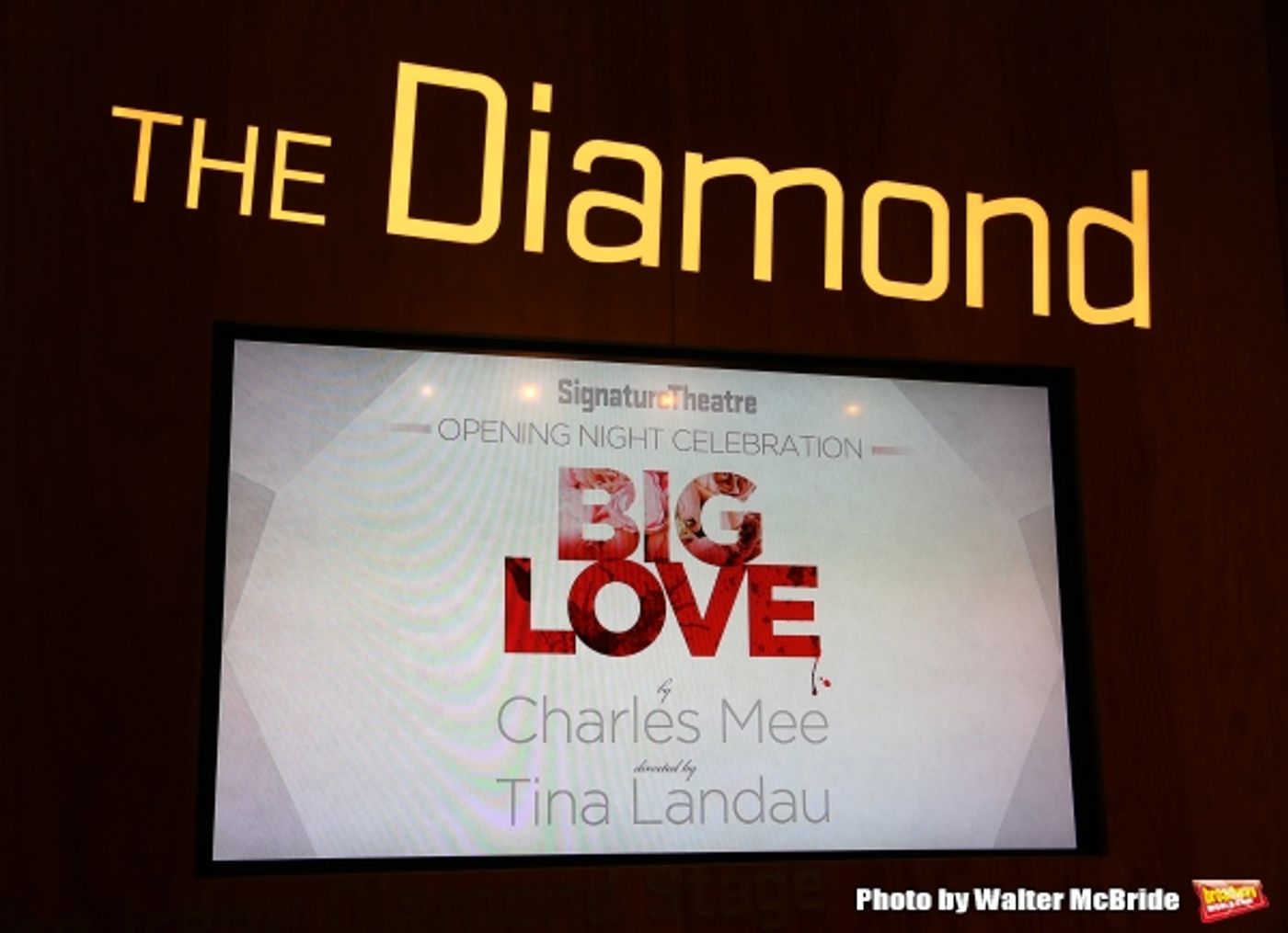 Photo Coverage: Signature Theatre's BIG LOVE, Starring Bobby Steggert & Rebecca Naomi Jones, Opens Off-Broadway! Photo Coverage: Signature Theatre's BIG LOVE, Starring Bobby Steggert & Rebecca Naomi Jones, Opens Off-Broadway! Image