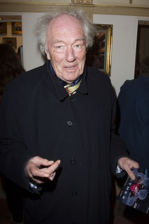 Michael Gambon @ BroadwayWorld Michael Gambon Photo