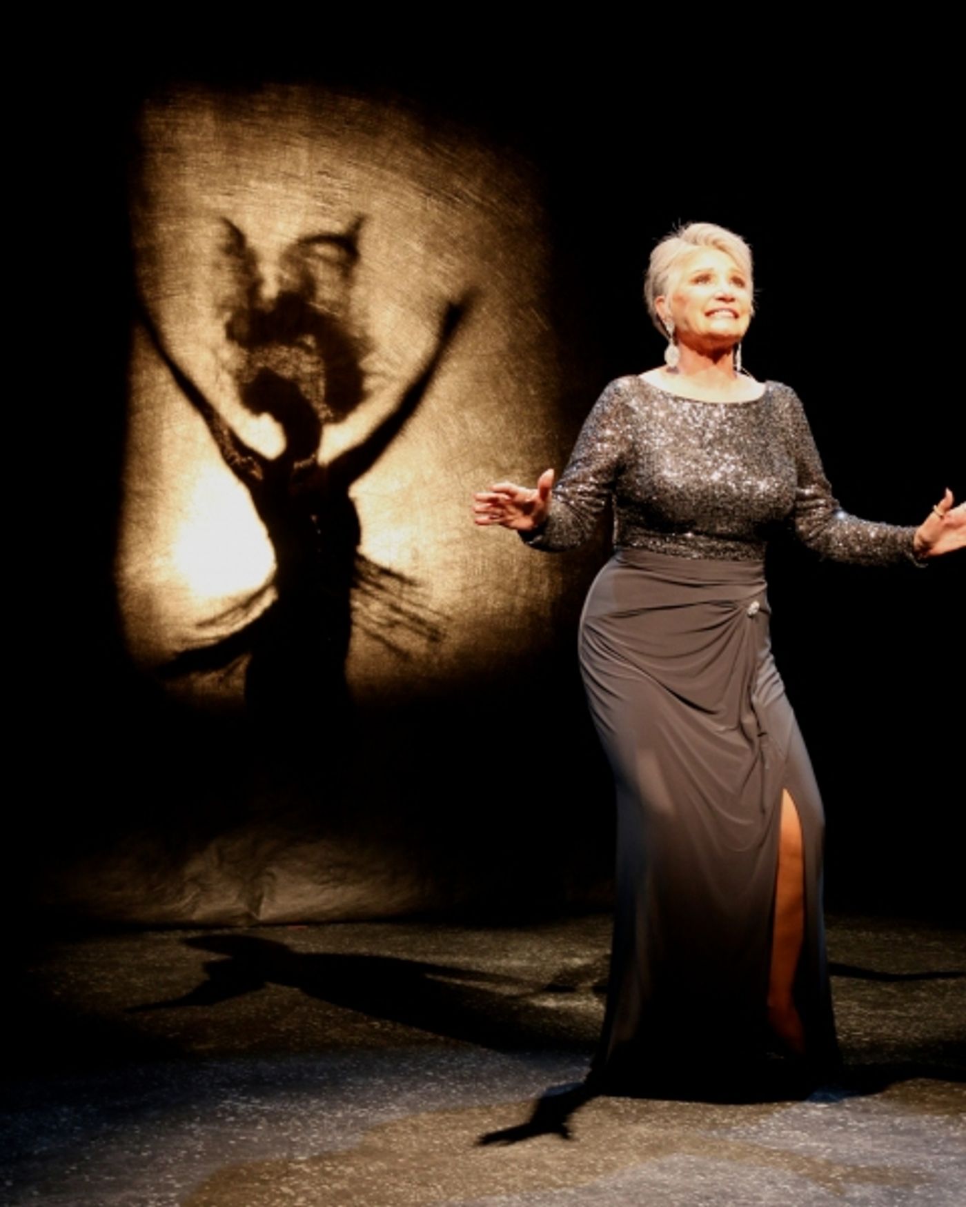 Photo Flash: First Look at Theater Works' AZ Premiere of FOLLIES Photo Flash: First Look at Theater Works' AZ Premiere of FOLLIES Image