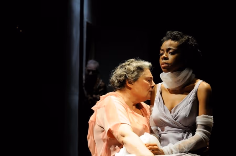Photo Flash: First Look- Trinity Rep's THE GLASS MENAGERIE Image