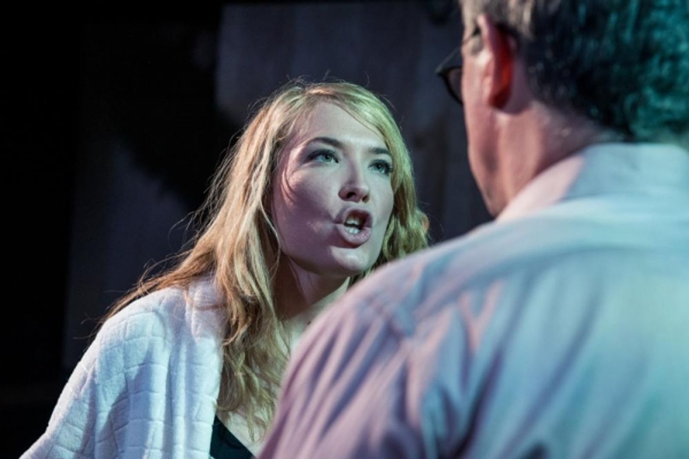 Photo Flash: First Look at Athenaeum's World Premiere of PICTURE IMPERFECT  Image