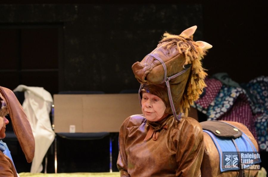 Photo Flash: First Look at Raleigh Little Theatre's THE VELVETEEN RABBIT Image