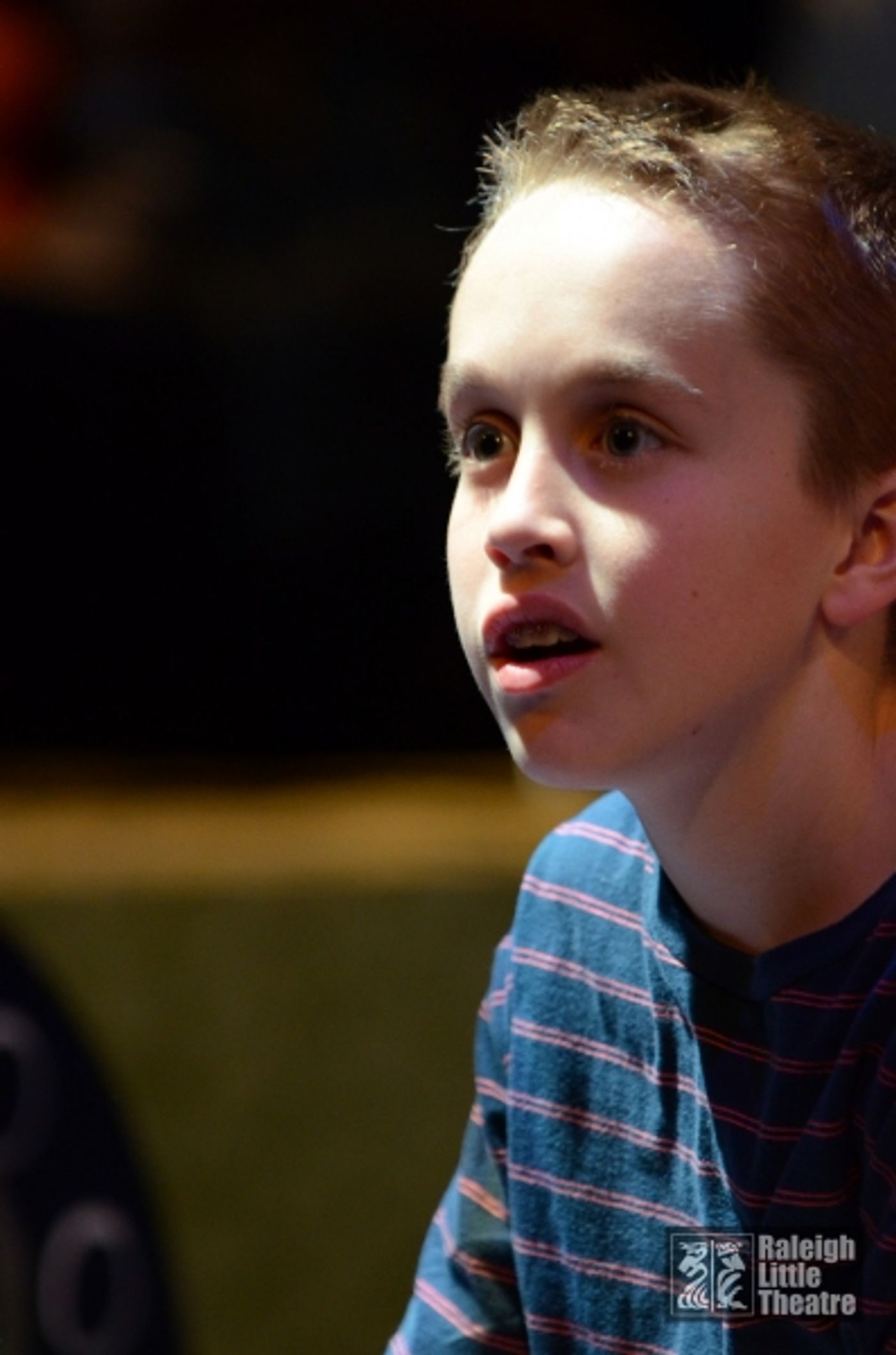 Photo Flash: First Look at Raleigh Little Theatre's THE VELVETEEN RABBIT Photo Flash: First Look at Raleigh Little Theatre's THE VELVETEEN RABBIT Image