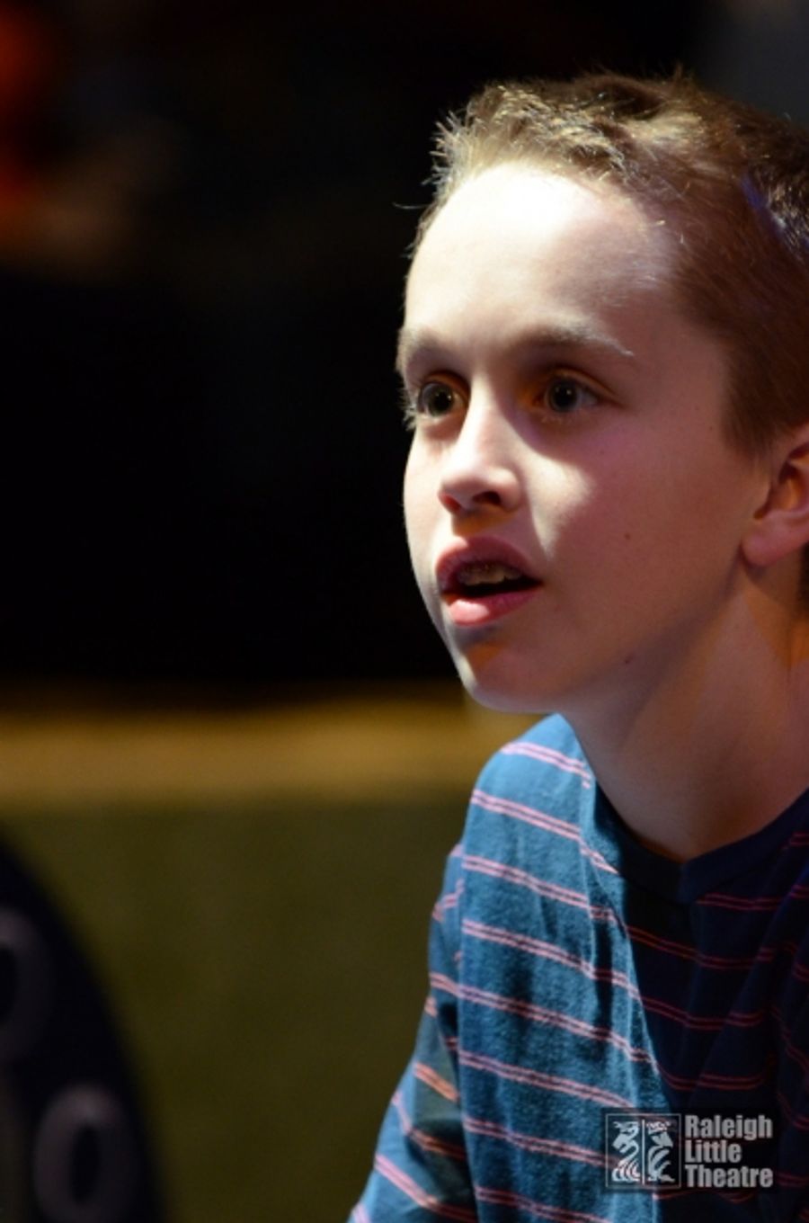 Photo Flash: First Look at Raleigh Little Theatre's THE VELVETEEN RABBIT Image