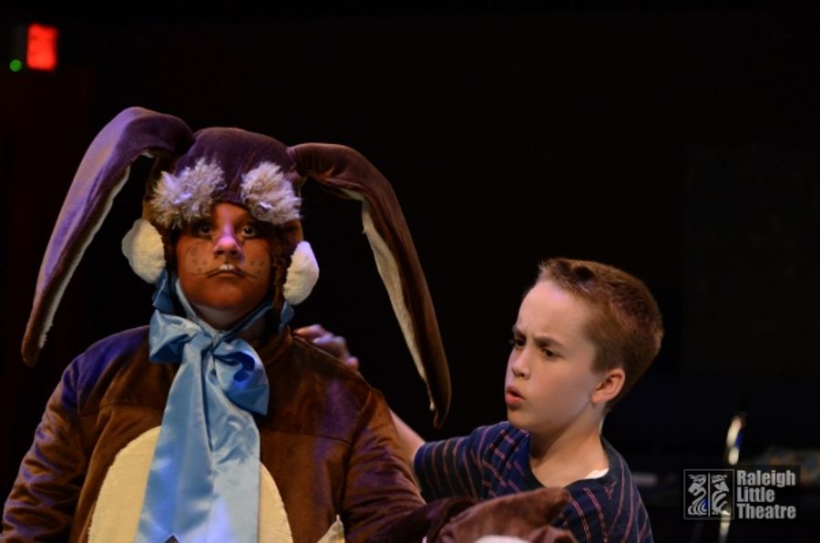 Photo Flash: First Look at Raleigh Little Theatre's THE VELVETEEN RABBIT Image
