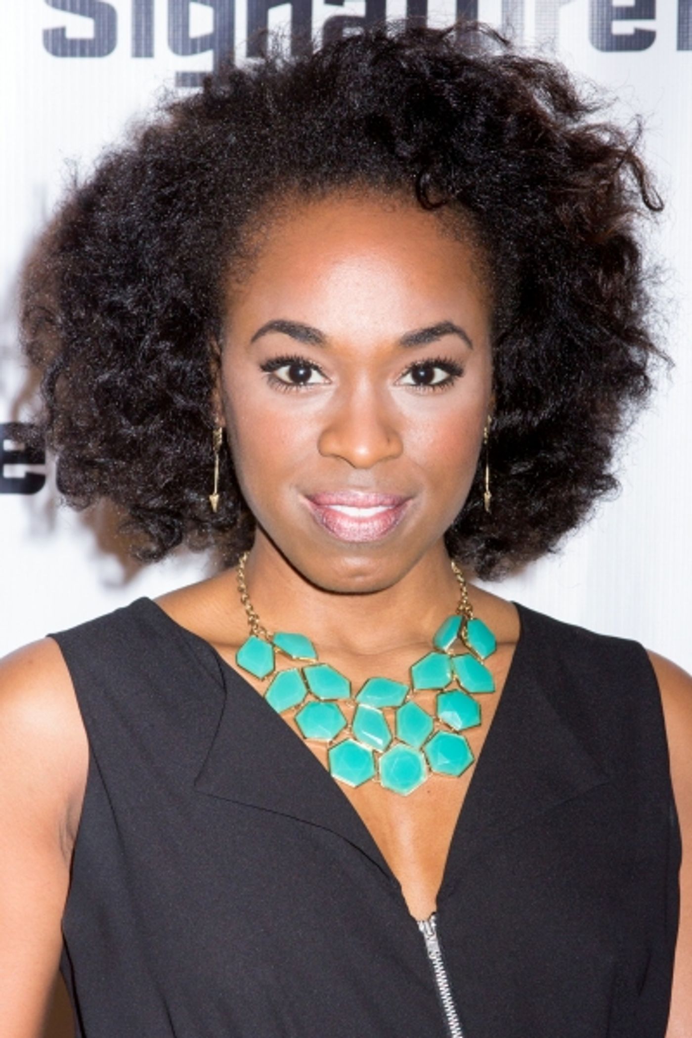 Photo Coverage: Inside Opening Night of Signature's THE LIQUID PLAIN  Image