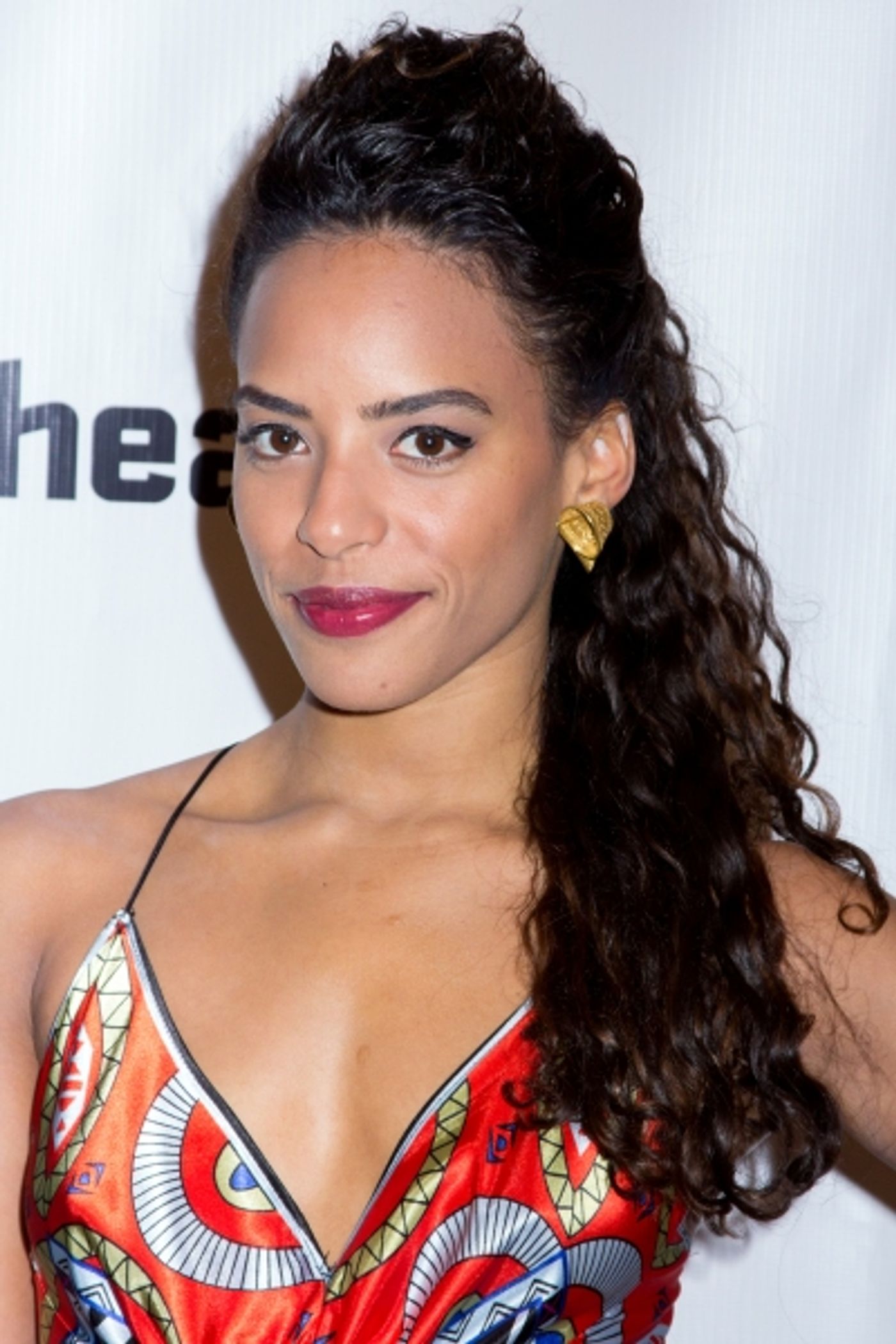 Photo Coverage: Inside Opening Night of Signature's THE LIQUID PLAIN  Image