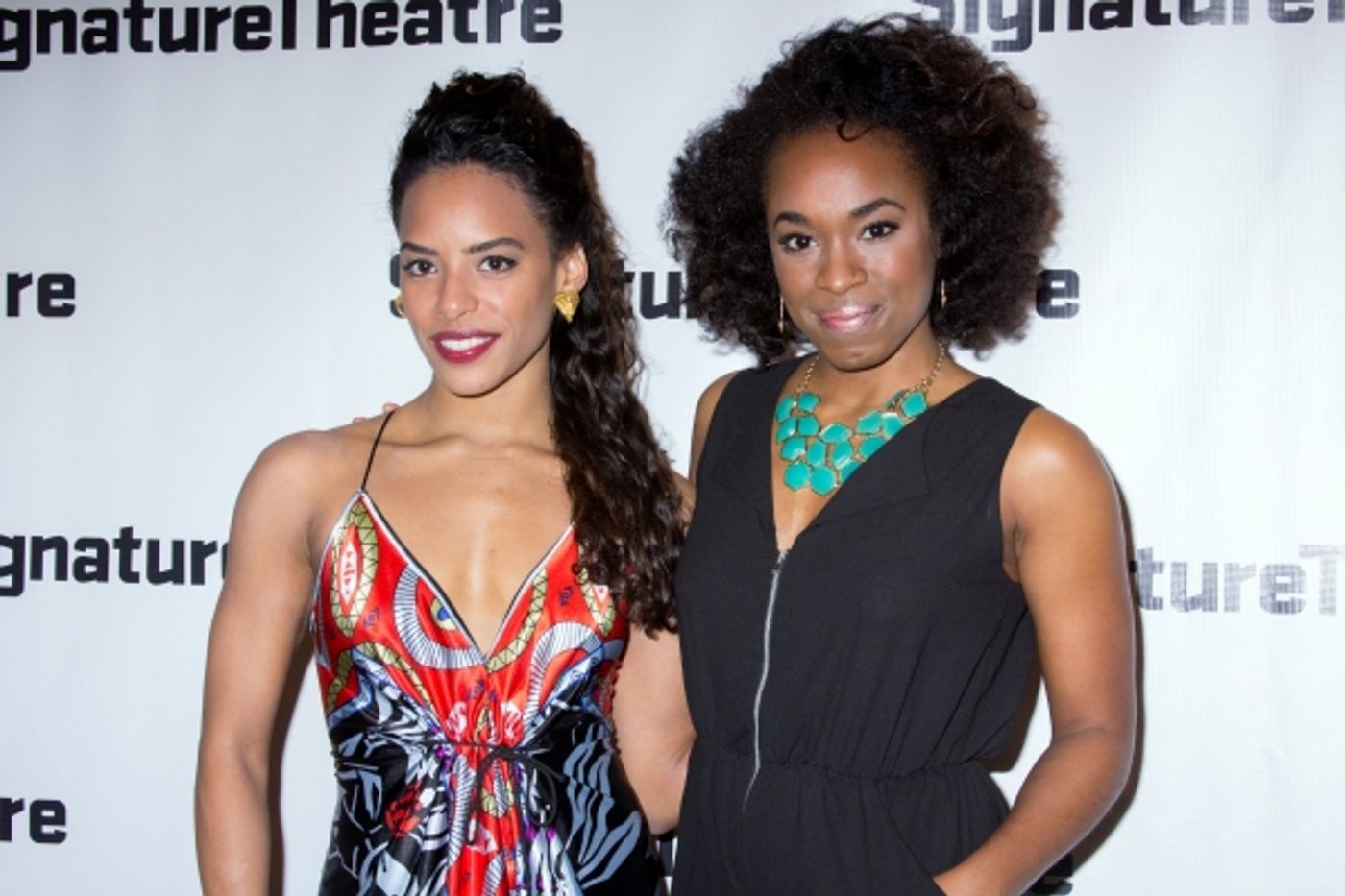 Photo Coverage: Inside Opening Night of Signature's THE LIQUID PLAIN  Image