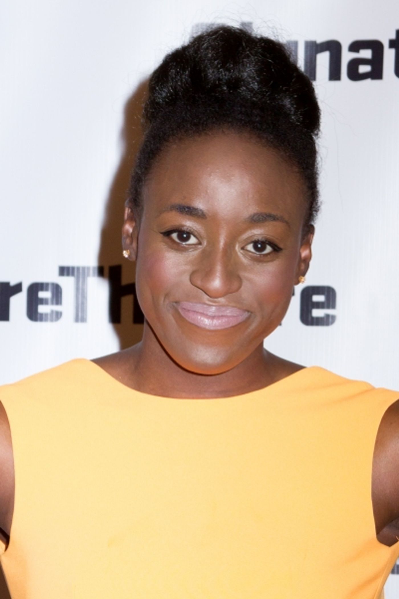 Photo Coverage: Inside Opening Night of Signature's THE LIQUID PLAIN  Image